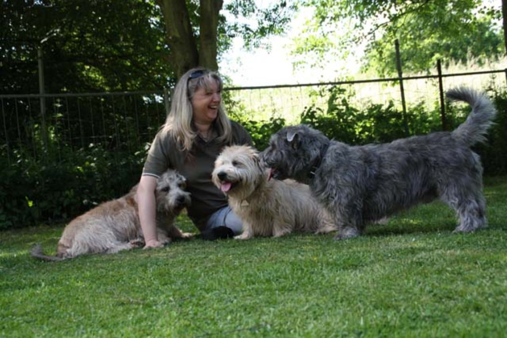 Irish Glen of Imaal Terrier Jake-aus-Berlin.de Irish Glen of Imaal Terrier Jake-aus-Berlin.de